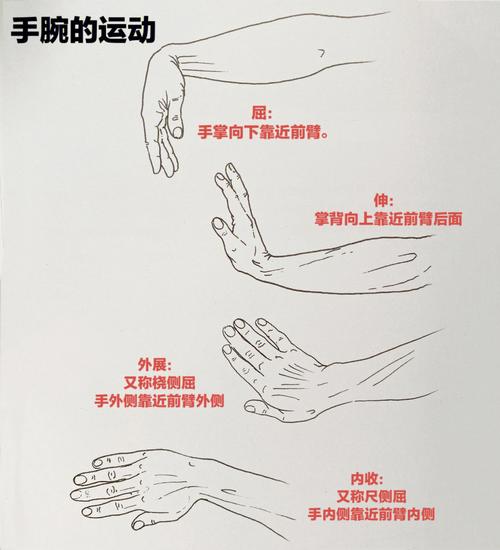 手腕力量怎么练