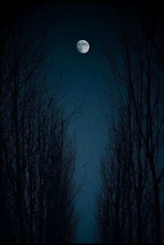 月亮凄冷图片