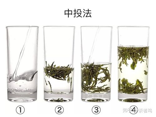 绿茶的冲泡方法视频