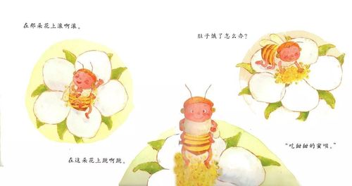 小蜜蜂的故事的相关图片