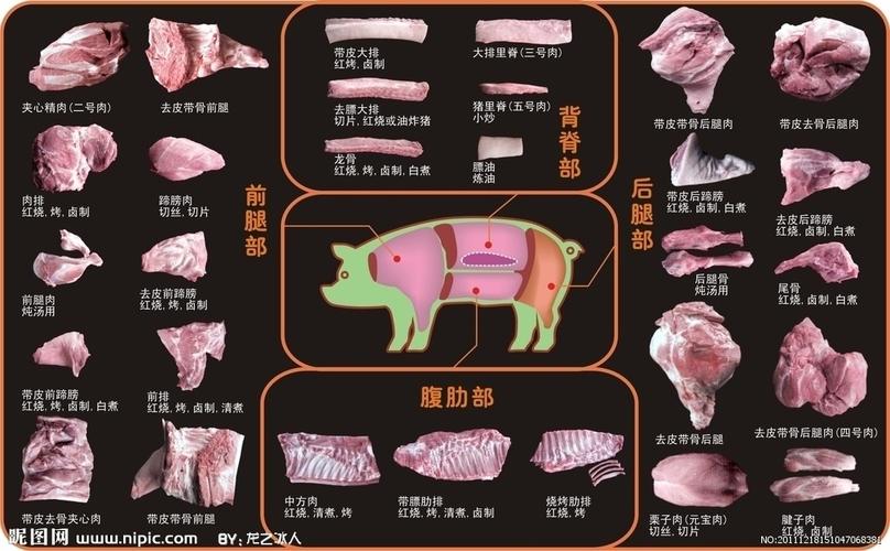 猪肉分割图的相关图片
