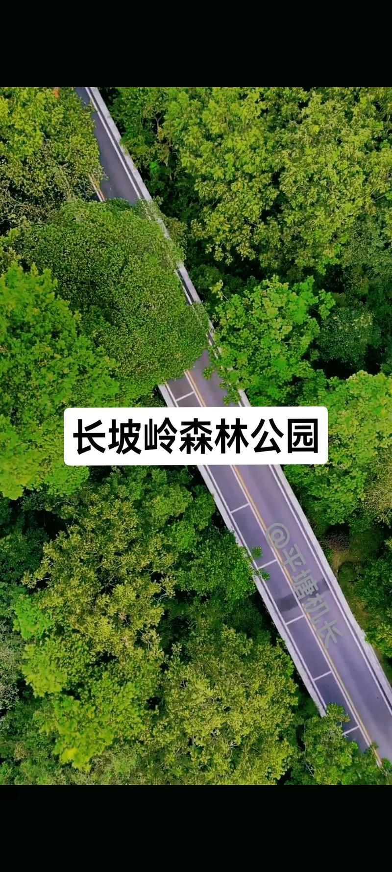 长坡岭森林公园的相关图片